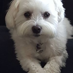 Meet your Posher, Matthew